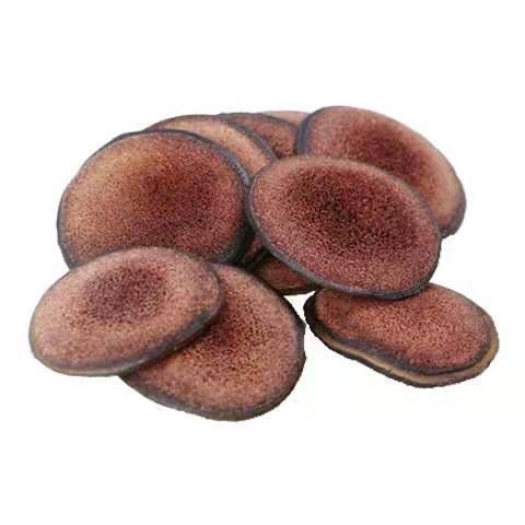 Top Grade Natural Deer Antler Extract Powder Premium Quality Deer Antler Slices