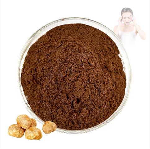 Wholesale Natural Lions Mane Extract Lions Mane Mushroom Powder Mushrooms Lions Mane Powder